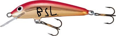 Breafsonic Lures Minnow2